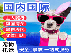 博鳌航空邮寄国际宠物托运 【国